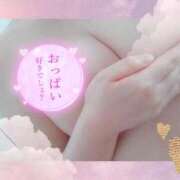 ヒメ日記 2026/02/15 01:42 投稿 はる 浜松駅前ちゃんこ