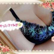 ヒメ日記 2026/02/16 15:09 投稿 はる 浜松駅前ちゃんこ