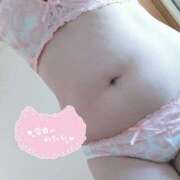 ヒメ日記 2026/04/13 13:19 投稿 はる 浜松駅前ちゃんこ