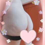 ヒメ日記 2026/04/14 14:01 投稿 はる 浜松駅前ちゃんこ