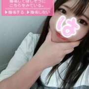 ヒメ日記 2026/04/25 17:32 投稿 はる 浜松駅前ちゃんこ