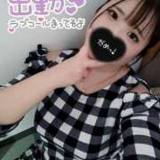 ヒメ日記 2026/04/28 17:34 投稿 はる 浜松駅前ちゃんこ
