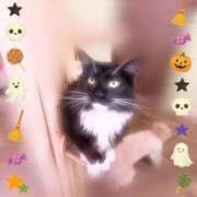 ヒメ日記 2025/10/30 12:42 投稿 みみ 熟女の風俗最終章　越谷店