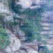 ヒメ日記 2025/12/11 12:29 投稿 みみ 熟女の風俗最終章　越谷店