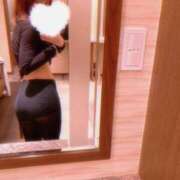 ヒメ日記 2025/03/31 15:59 投稿 こなつ One More奥様　蒲田店