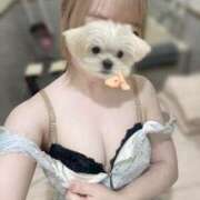 ヒメ日記 2025/07/02 17:07 投稿 ひびき マリン池袋北口駅前店