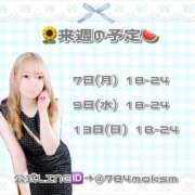 ヒメ日記 2025/07/06 14:07 投稿 ひびき マリン池袋北口駅前店