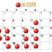 ヒメ日記 2025/02/04 07:44 投稿 めぐみ 桃李（とうり）