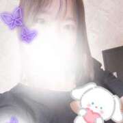 ヒメ日記 2025/02/19 06:44 投稿 めぐみ 桃李（とうり）