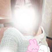 ヒメ日記 2025/03/25 06:14 投稿 めぐみ 桃李（とうり）