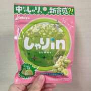 ヒメ日記 2025/03/29 18:14 投稿 めぐみ 桃李（とうり）