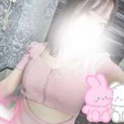 ヒメ日記 2025/04/06 11:05 投稿 めぐみ 桃李（とうり）