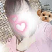 ヒメ日記 2025/04/23 18:16 投稿 めぐみ 桃李（とうり）