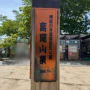 ヒメ日記 2025/05/08 06:44 投稿 めぐみ 桃李（とうり）