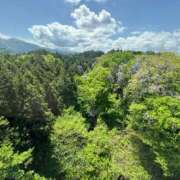 ヒメ日記 2025/06/26 06:14 投稿 めぐみ 桃李（とうり）