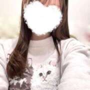 ヒメ日記 2024/12/28 10:58 投稿 かのん CECIL