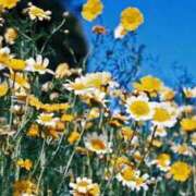 ヒメ日記 2025/01/04 10:25 投稿 ことの 待ちナビ