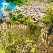 ヒメ日記 2025/04/06 09:03 投稿 みなみ コレクション