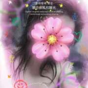 ヒメ日記 2025/03/17 16:43 投稿 ひばり 40代からのリアル鹿児島美熟女 REBORN リボン