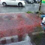 ヒメ日記 2025/05/24 20:35 投稿 ひばり 40代からのリアル鹿児島美熟女 REBORN リボン