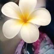 ヒメ日記 2025/09/07 12:09 投稿 ひばり 40代からのリアル鹿児島美熟女 REBORN リボン