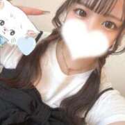 ヒメ日記 2025/08/12 08:18 投稿 らむ ナチュラルプリンセス