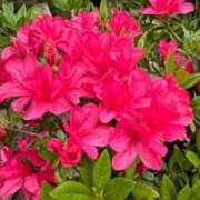 ヒメ日記 2025/08/21 22:44 投稿 あやね 快楽夫人