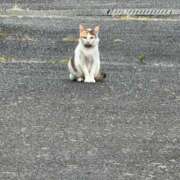 ヒメ日記 2025/08/26 22:05 投稿 あやね 快楽夫人