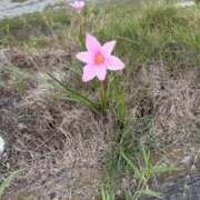 ヒメ日記 2025/09/21 10:02 投稿 あやね 快楽夫人