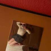 ヒメ日記 2025/11/29 21:20 投稿 あやね 快楽夫人