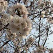 ヒメ日記 2026/04/10 10:44 投稿 あやね 快楽夫人
