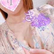 ヒメ日記 2025/10/05 12:10 投稿 つばさ ドッチパイモミ 越谷店