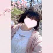 ヒメ日記 2025/04/16 16:50 投稿 なな ドッチパイモミ 越谷店