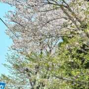 ヒメ日記 2025/04/12 22:18 投稿 リン 大牟田デリヘル倶楽部