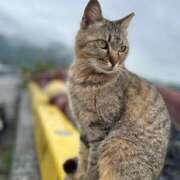 ヒメ日記 2025/08/03 21:13 投稿 リン 大牟田デリヘル倶楽部