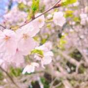 ヒメ日記 2026/04/02 11:48 投稿 リン 大牟田デリヘル倶楽部