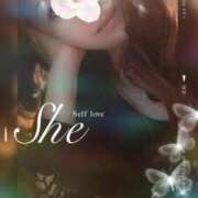 ヒメ日記 2025/01/09 13:54 投稿 雅 東京人妻フォーシーズンズ