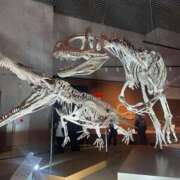 なな 🦕大絶滅展行ってきた カワサキEROTIC（ソープランド）