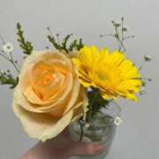 ヒメ日記 2026/01/27 17:30 投稿 なな カワサキEROTIC（ソープランド）