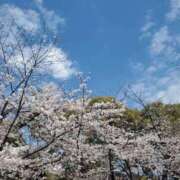 なな お休みなさい😴 カワサキEROTIC（ソープランド）