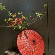 ヒメ日記 2025/11/25 19:15 投稿 ビビアン みこすり半道場 大阪店