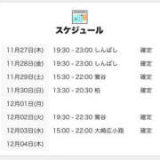 ヒメ日記 2025/11/28 00:00 投稿 きょう 世界のあんぷり亭 新橋店