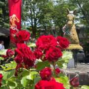 ヒメ日記 2025/05/15 20:59 投稿 らむ 白いぽっちゃりさん五反田店