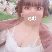 ヒメ日記 2025/08/20 20:29 投稿 らむ 白いぽっちゃりさん五反田店