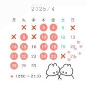 ヒメ日記 2025/04/02 13:38 投稿 三藤わかな ローテンブルク