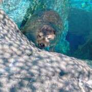 ヒメ日記 2025/05/27 19:29 投稿 かぐら BAD COMPANY 札幌