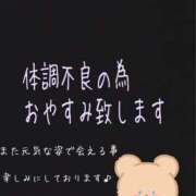 ヒメ日記 2024/07/26 12:24 投稿 ここちゃん 元祖！ぽっちゃり倶楽部Hip's馬橋店