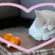 ヒメ日記 2024/12/12 09:52 投稿 こよみ 京都人妻デリヘル倶楽部