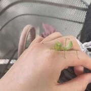 ヒメ日記 2025/07/06 08:44 投稿 あおい 彼女の部屋本店