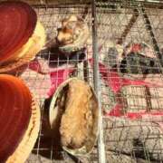 ヒメ日記 2024/12/24 10:03 投稿 えみり 脱がされたい人妻 厚木店